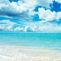 Beach.png