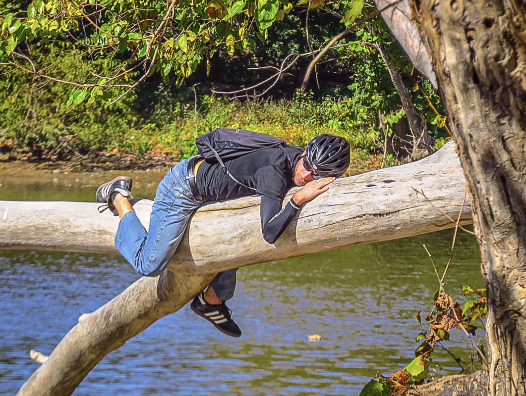 people-log-sleeper-dis1.jpg