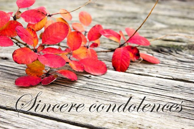 condolensces-sincere-condolences-autumn-leaves-main.jpg