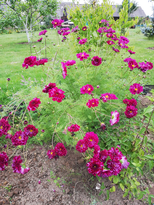 IMG-c7826a8c375de534447e64fc15c163df-V