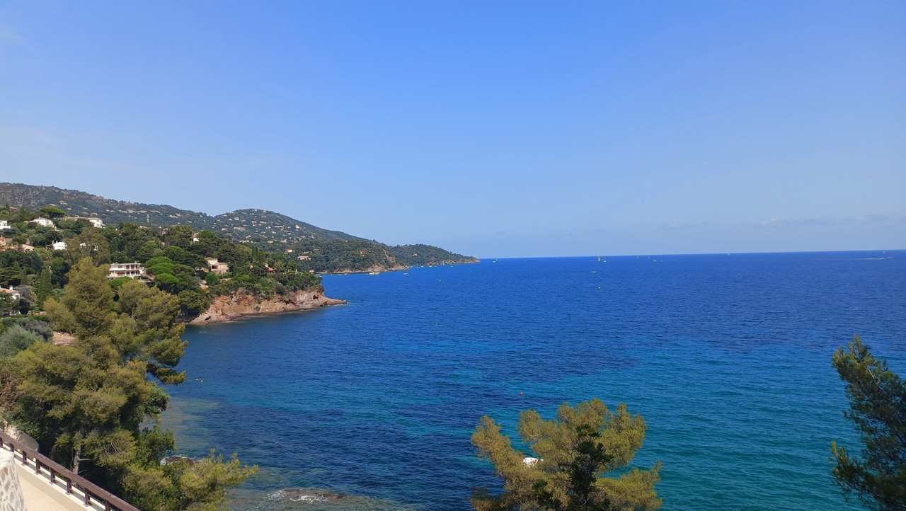 IMG20250806160505 (Large)