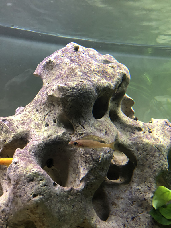 EDAD12CD-3A83-4358-87CD-9688679C8204