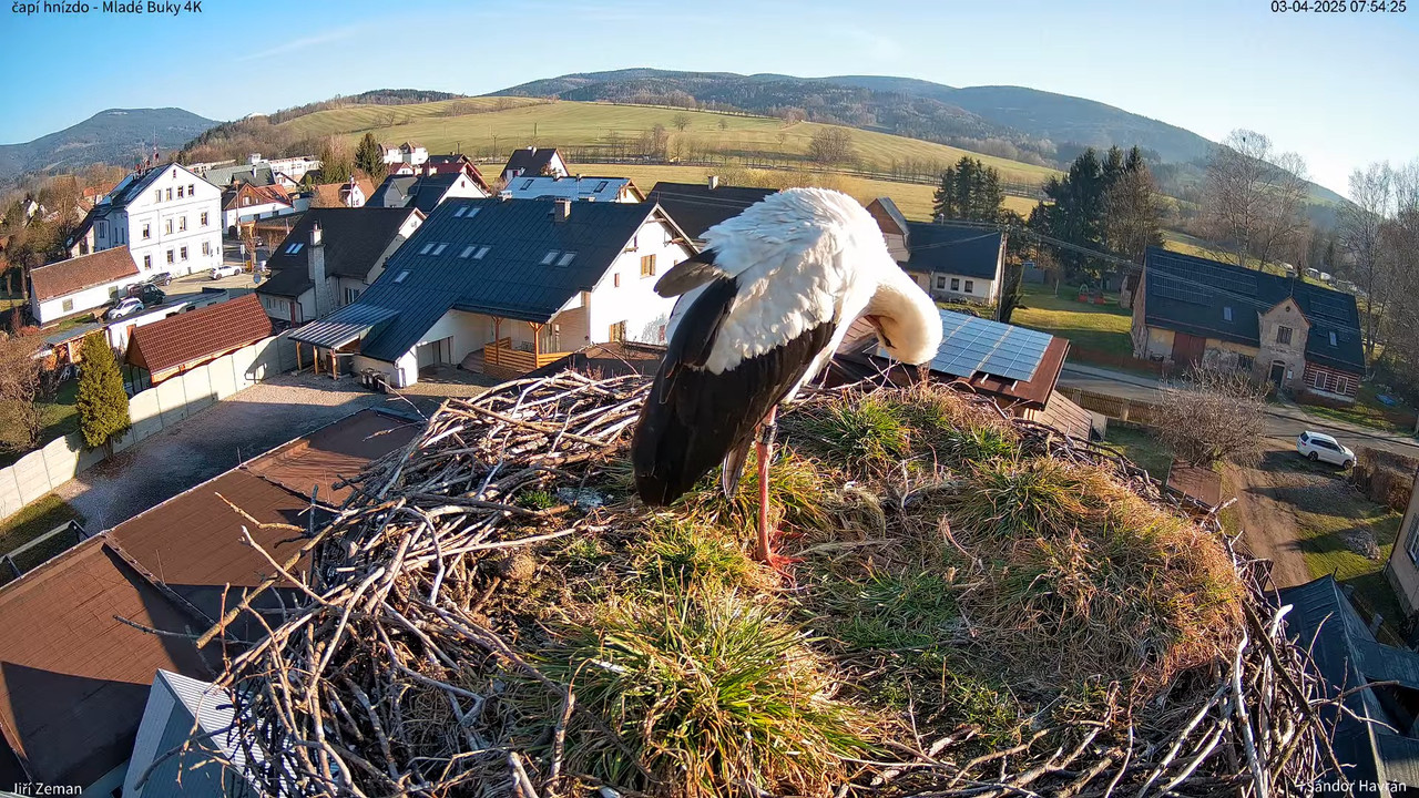 Tiešraides kamera — Mladé Buky — stārķa ligzda 4K 5-58-48 screenshot