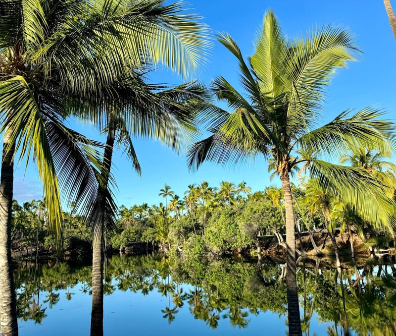 Kalahuipuaa Trail and fishponds loop Mauna Lani historic park Big Island