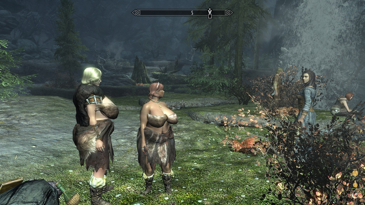 fnis skyrim error 2021