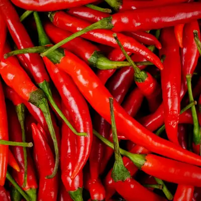 CapsiMax® Ingredient