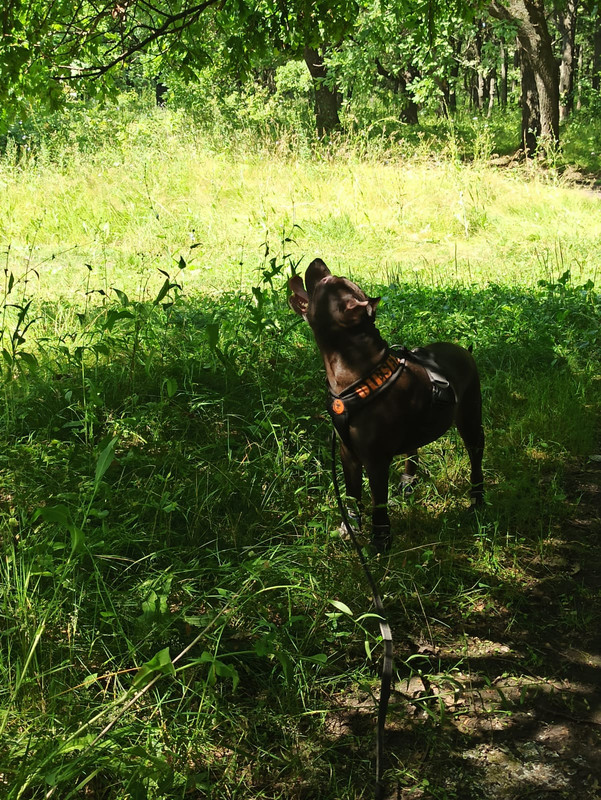 E34F5E9C-6ED6-4E69-AB11-406BE2BD8295