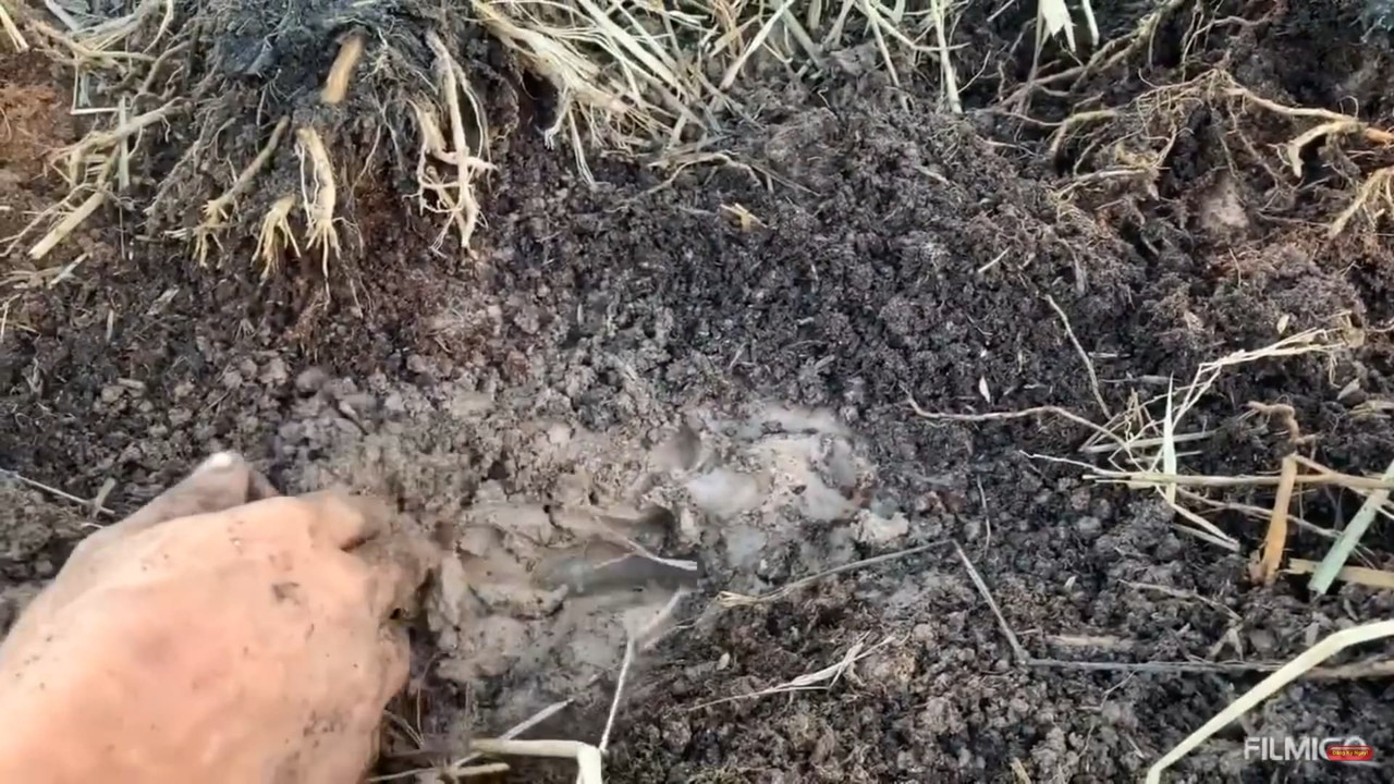 clayey-soil-with-standing-water.jpg