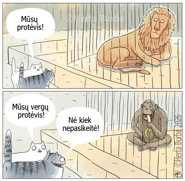 Paveikslėlis