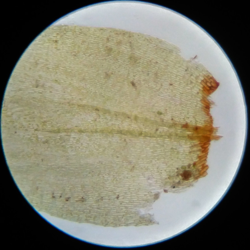 IMG 20250617 111921 HDR