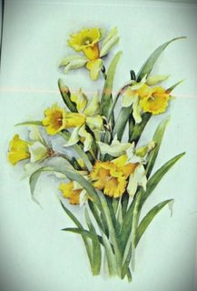 A postcard of a bunch of painted daffodils
