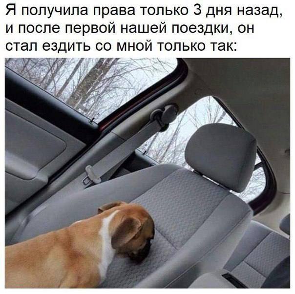 [Изображение: 5d80dbe91c729ae24c96151442f5be11.jpg]