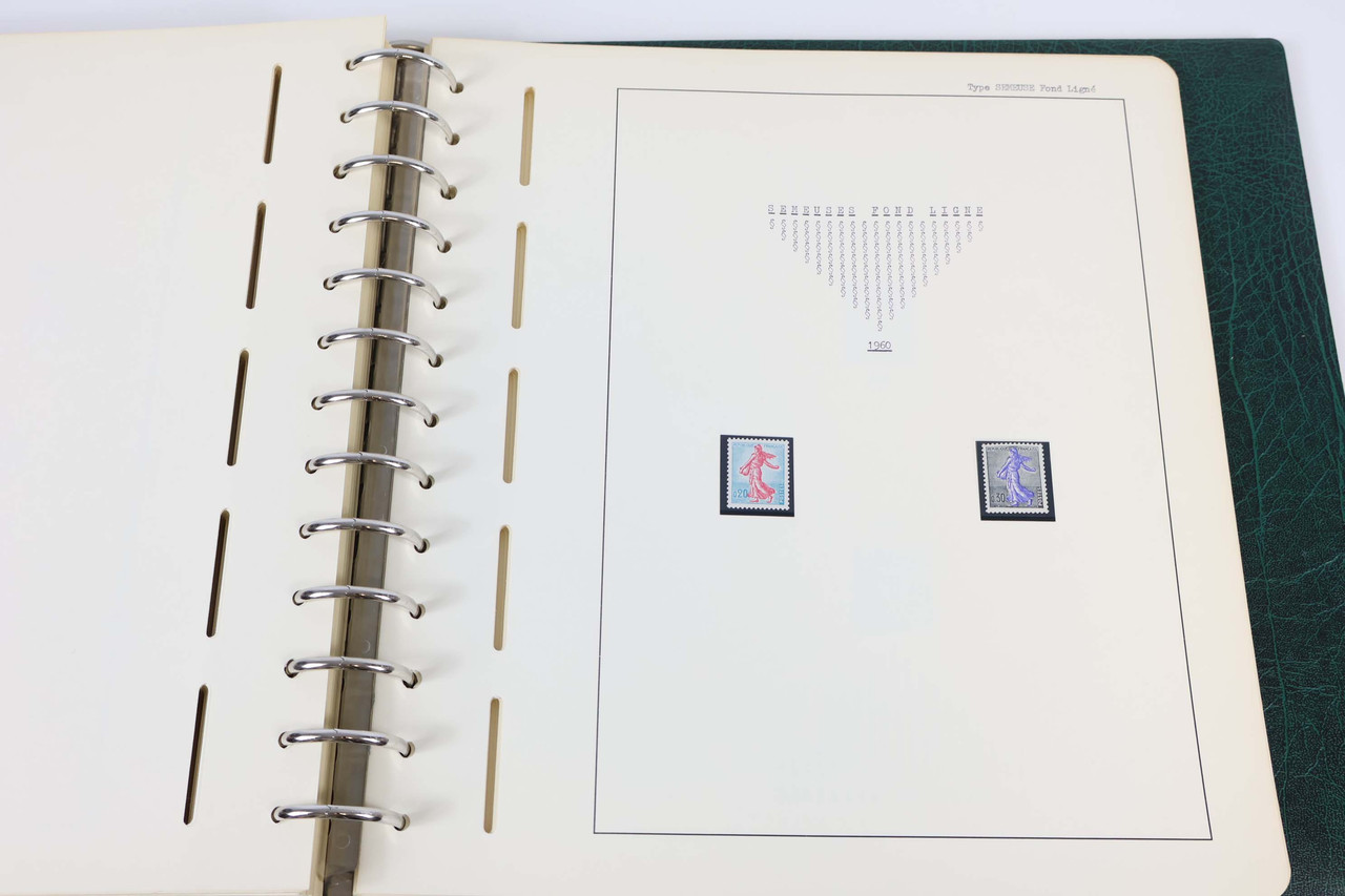IMG 9263