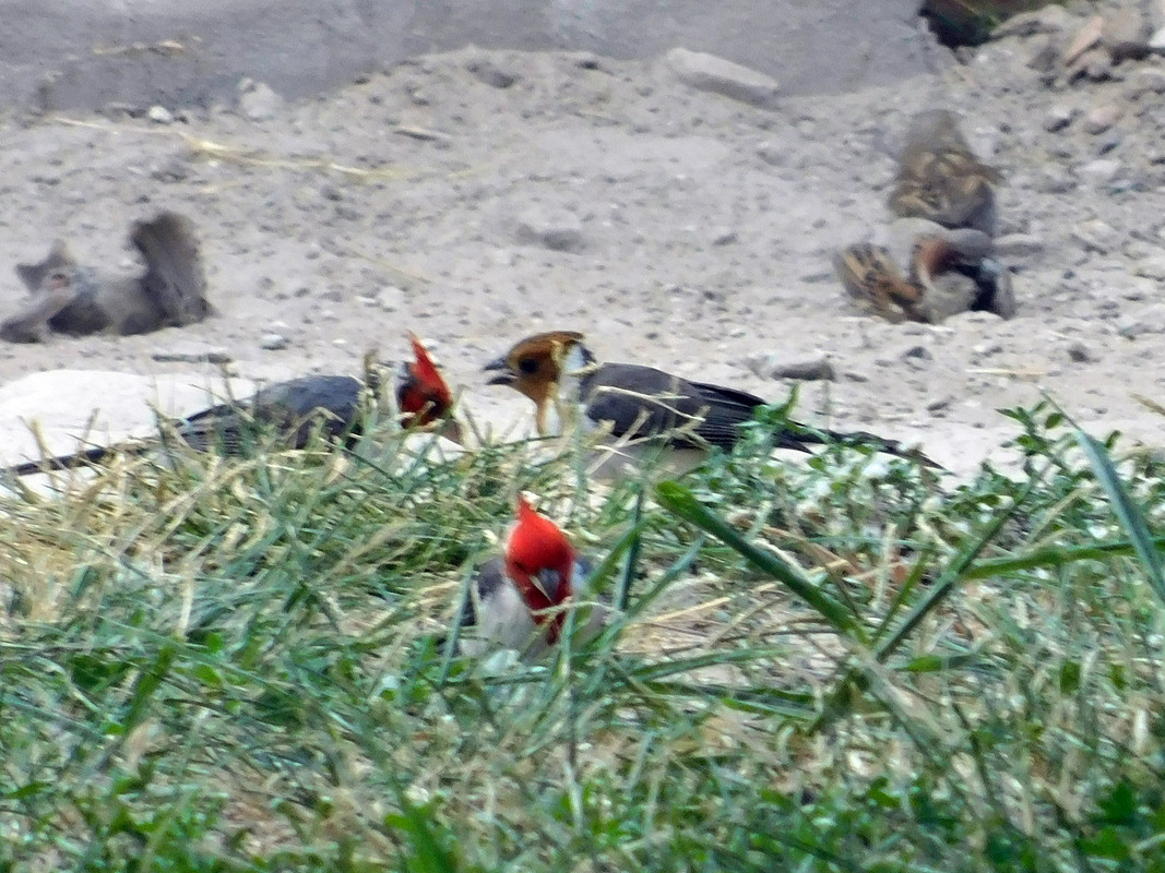 DSCN0200.jpg