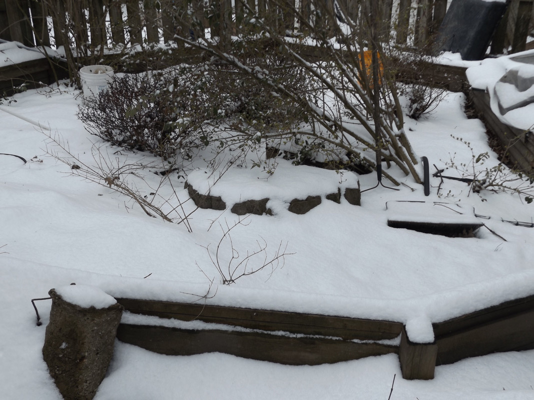 DSCF7061.jpg