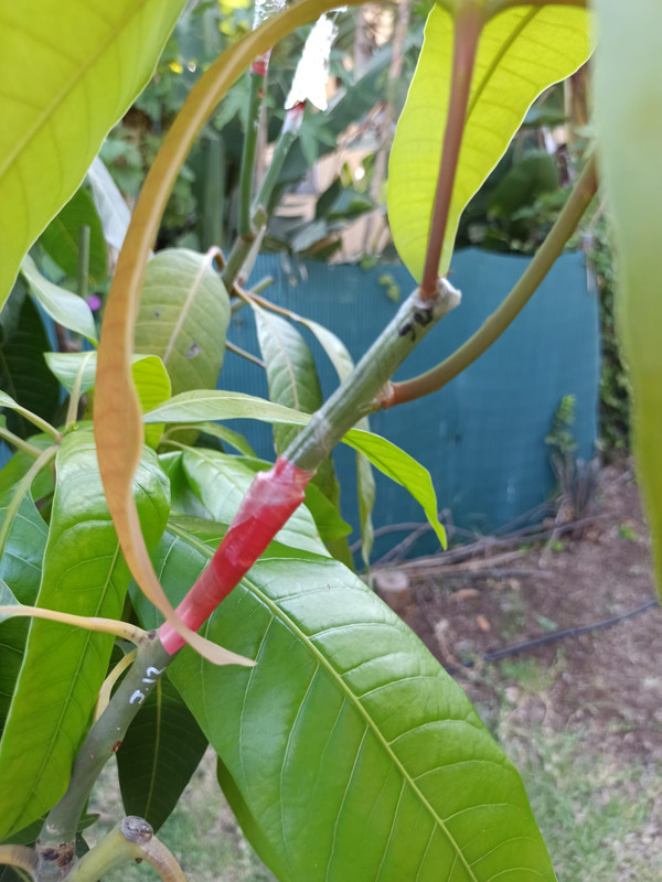 WhatsApp Image 2023-07-25 at 21.59.23 (1)