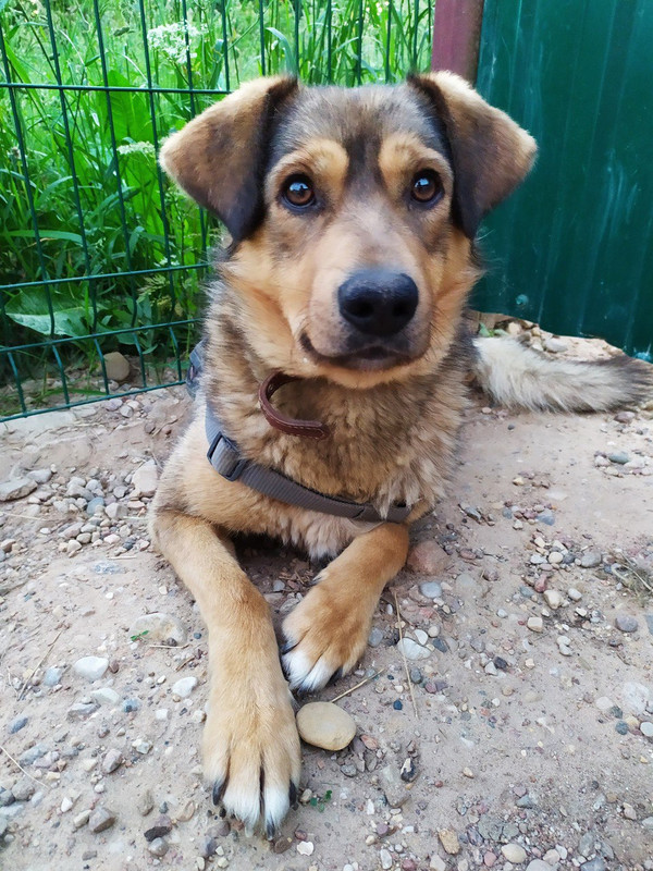 AEA758BF-E077-417F-B747-965C23643AB9