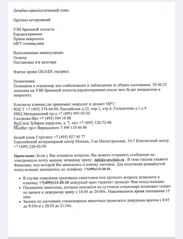 июнь 2023 2