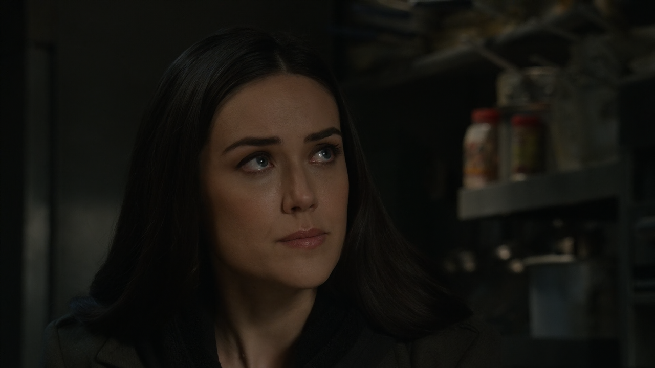 The.Blacklist.S08E02.Katarina.Rostova.Conclusion.1080p.10bit.AMZN.WEB-DL.DDP5.1.HEVC-Vyndros.mkv_sna