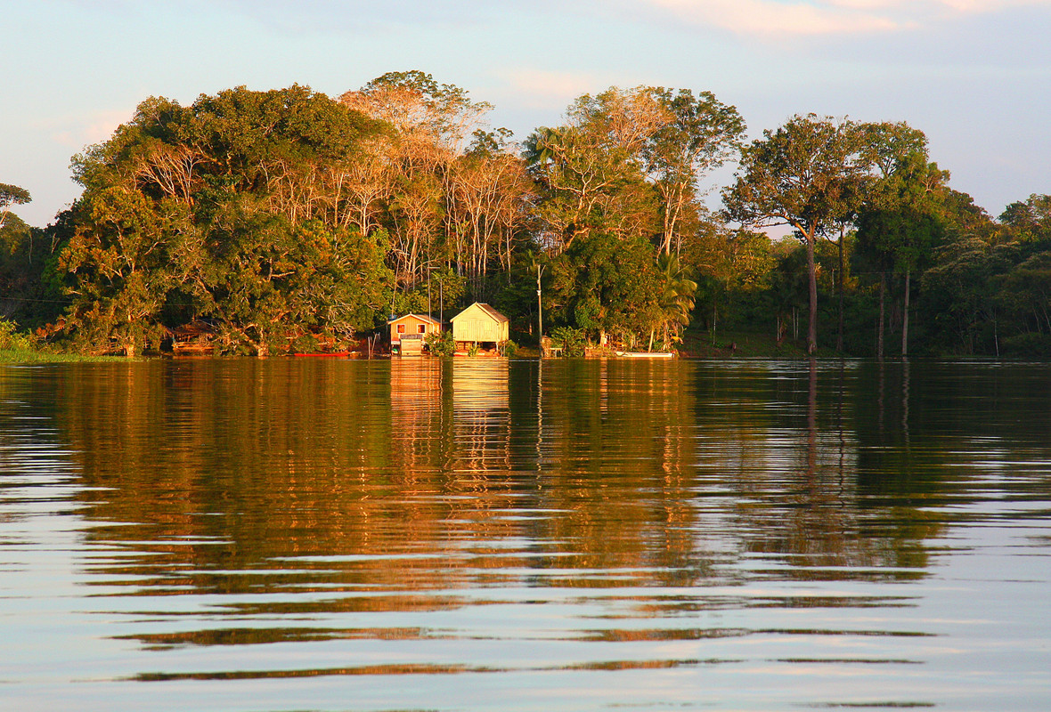 
							Amazon Indigenous Tribe