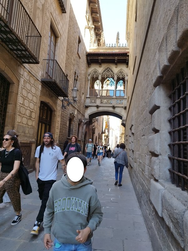 Barcelona 2025 - Blogs de España - Dia 2. Jueves 17 de Abril. El barrio gótico. (9)