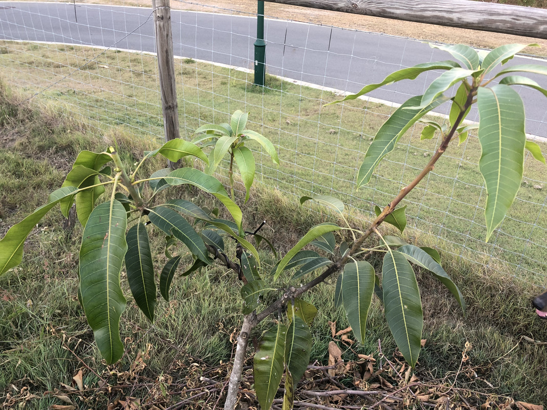 589678B6-10B4-44C6-9F03-0A3F86EC6867