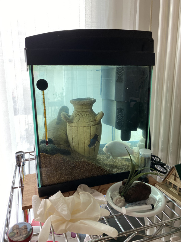 1234E677-26AD-4EF8-AECB-748B7A5321DE