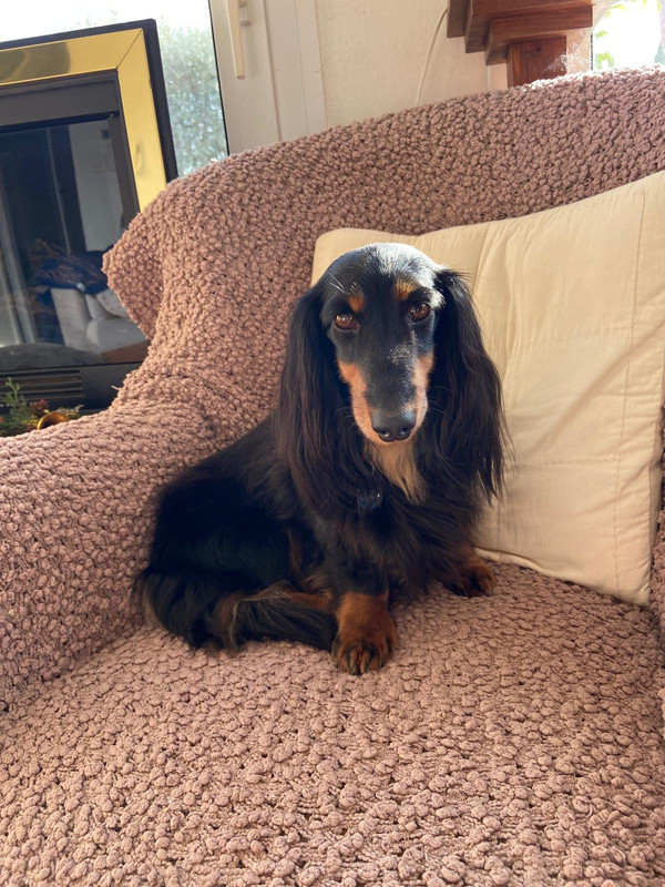 [Image: 42ee1679-5548-426f-9c71-0d256dd88e4a.jpg]