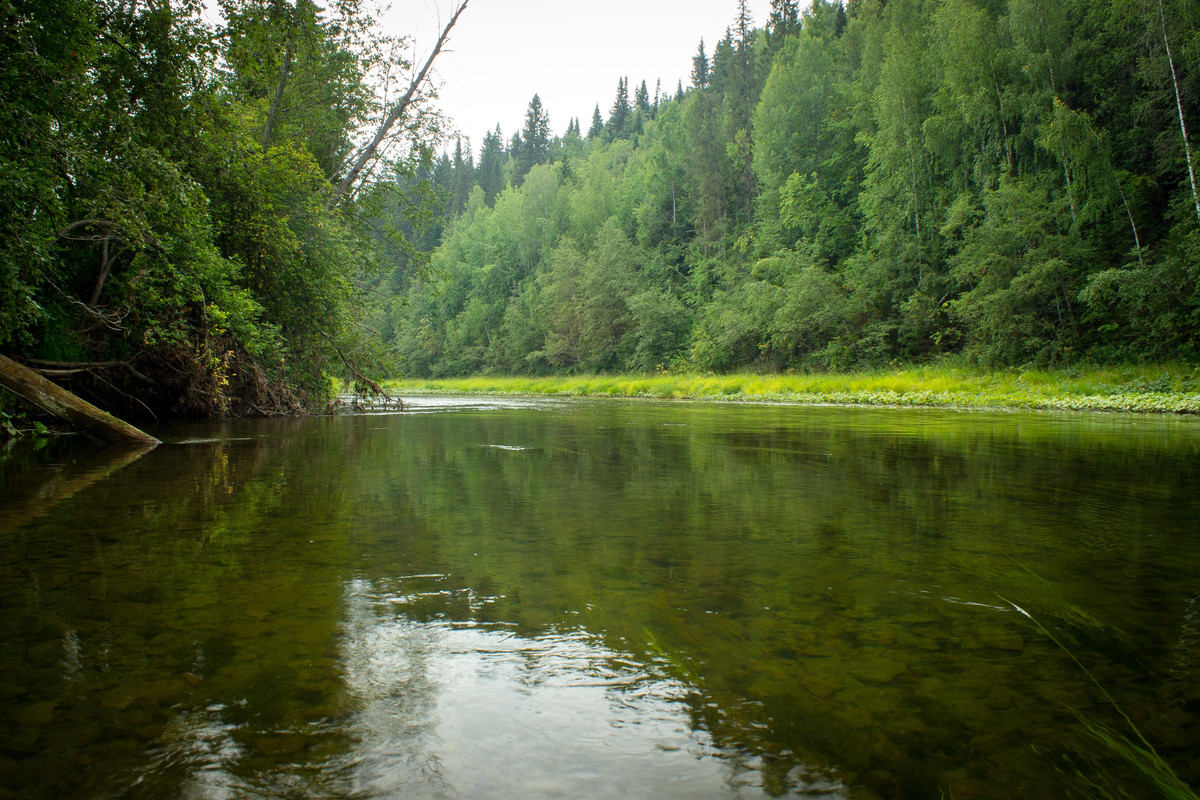 без имени-15