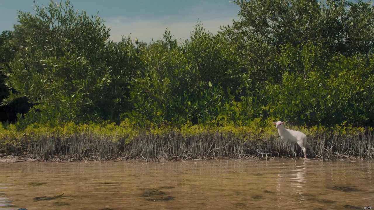 300mbunited.me--00001