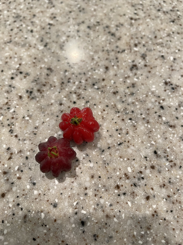 7EA5A8B7-F9C9-4E8E-8266-EF5D14B3A5A5