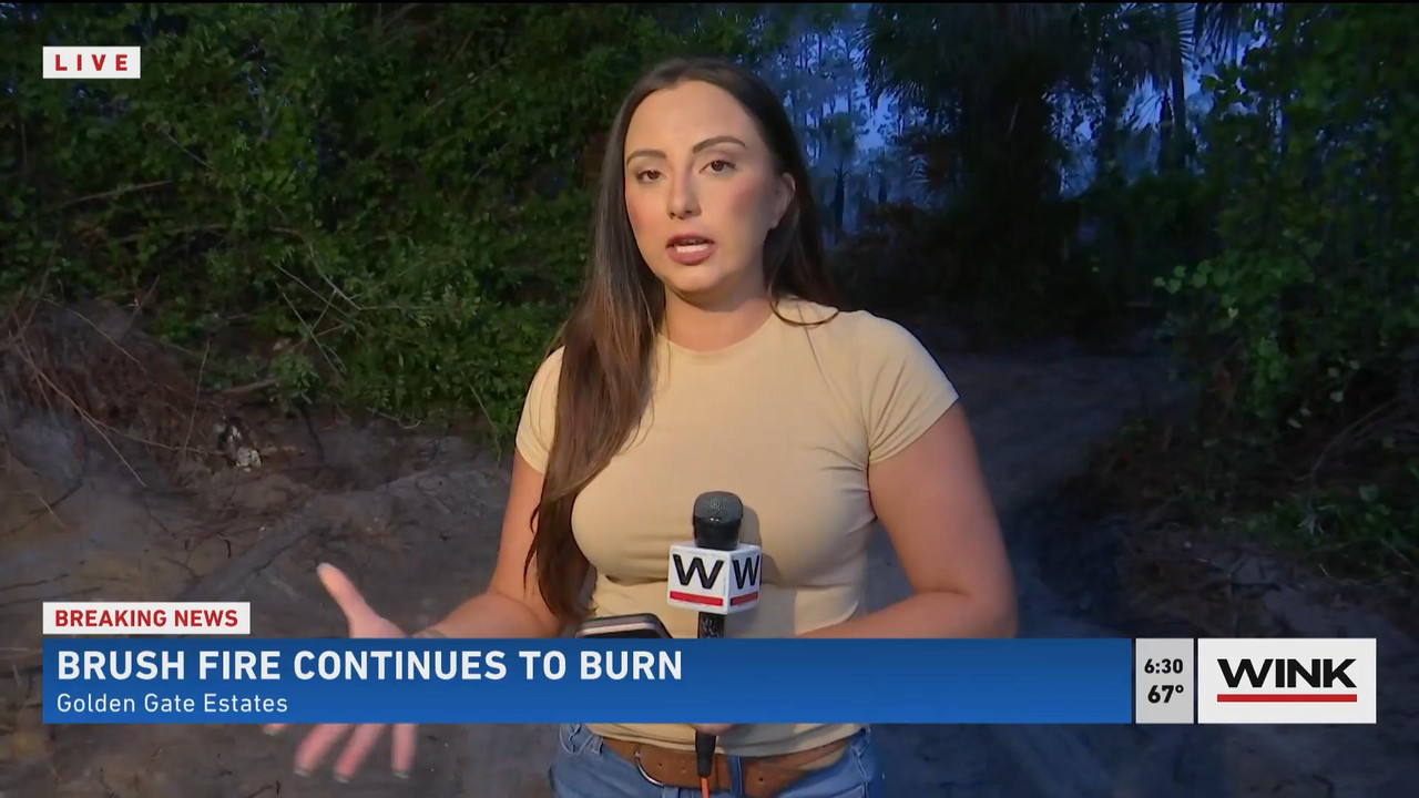 05.23 - 11.00.00 - WINK News @ 6 00AM Sunday. Local news, sports and ....ts_snapshot_30.35_[2021.05.