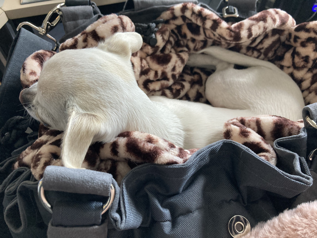 B347E1F5-9958-4836-96CB-AEACAA4074B4