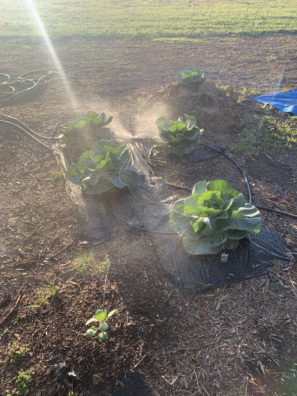 0FAF1849-6876-47C1-94A0-D3DD38FA69E6