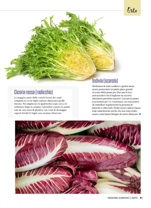 Pass Giar e Orto Lug 2025 (8)