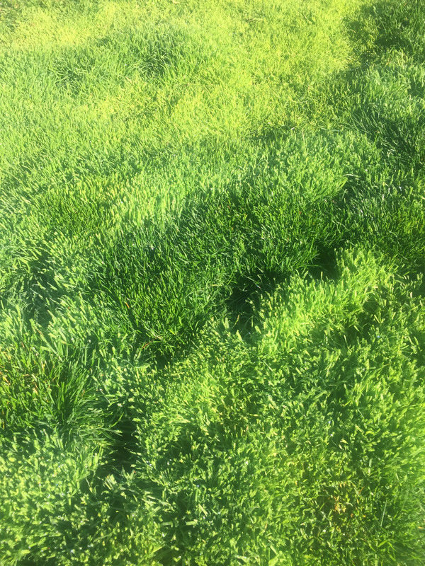 5C1A16C5-A0E3-4D32-B42B-67A0A62D09CB