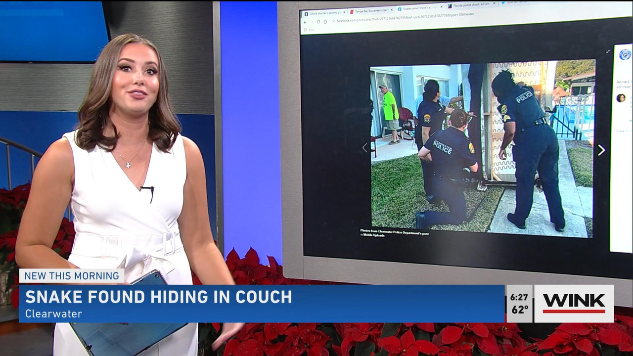 12.05 - 11.00.00 - WINK News @ 6 00AM Sunday. Local news, sports and ....ts_snapshot_00.28.30_[2021.