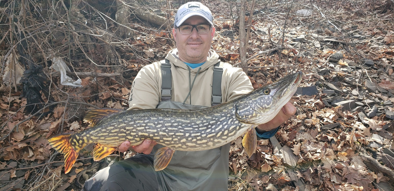 Resized_Resized_20250301_121526