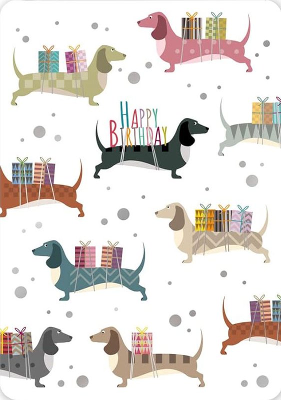 [Image: Anniversaire-teckel-42.jpg]