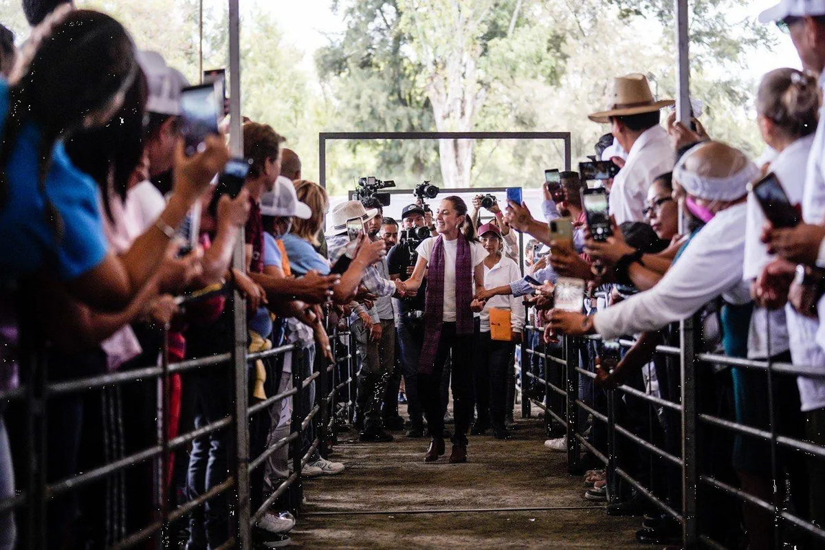 Vamos arriba en todas las encuestas: Sheinbaum desde Irapuato, Guanajuato