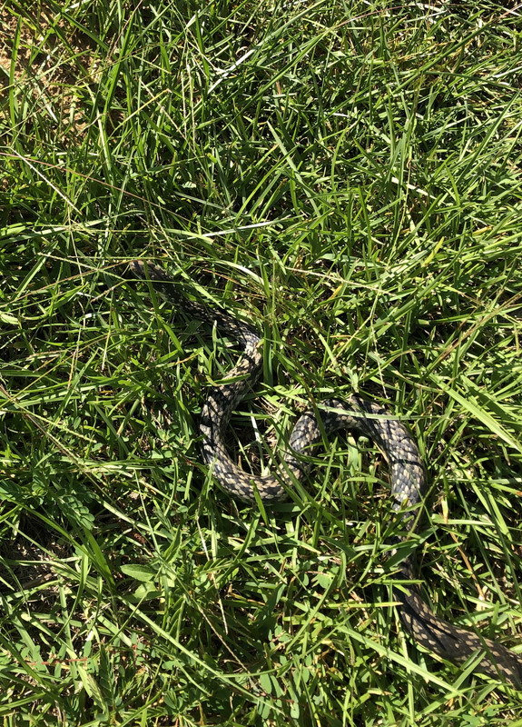 FA9BC8E5-10AF-4AC3-BB25-DD5AE427ED37