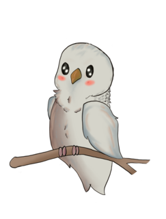 sketch1742268473942.png
