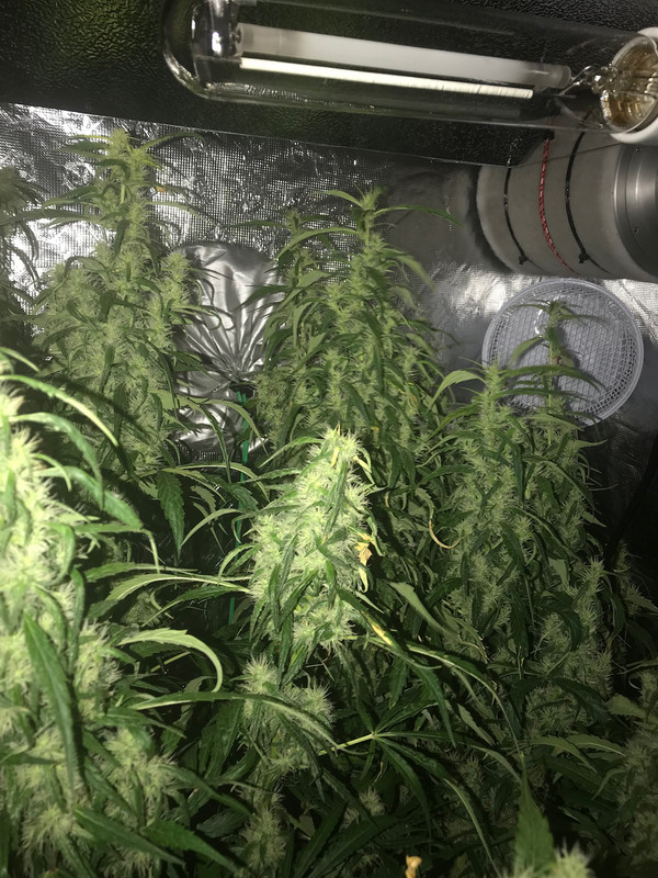 9CD84992-1581-43AB-AC33-78A672C68CCD