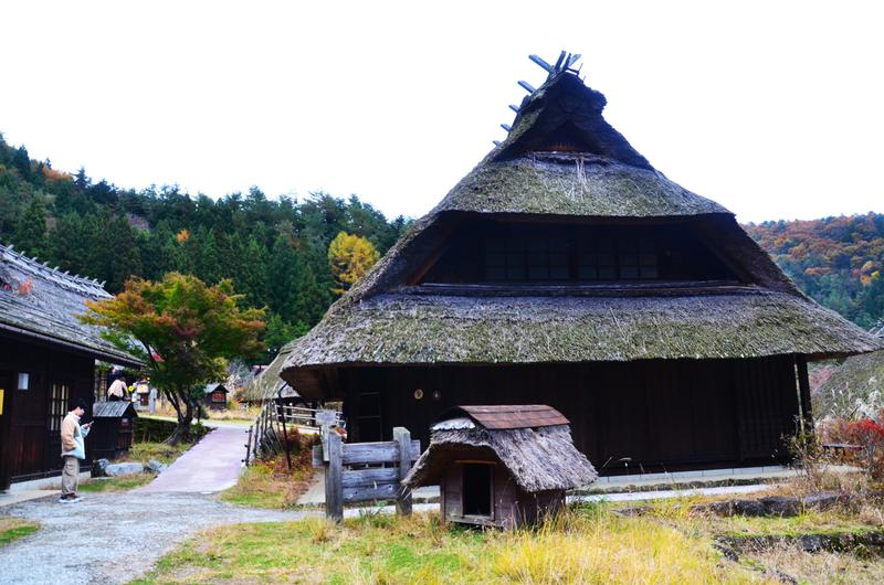 Saiko Iyashi no Sato Nenba-16-11-2024 - Japón y sus Pueblos-2024 (13)