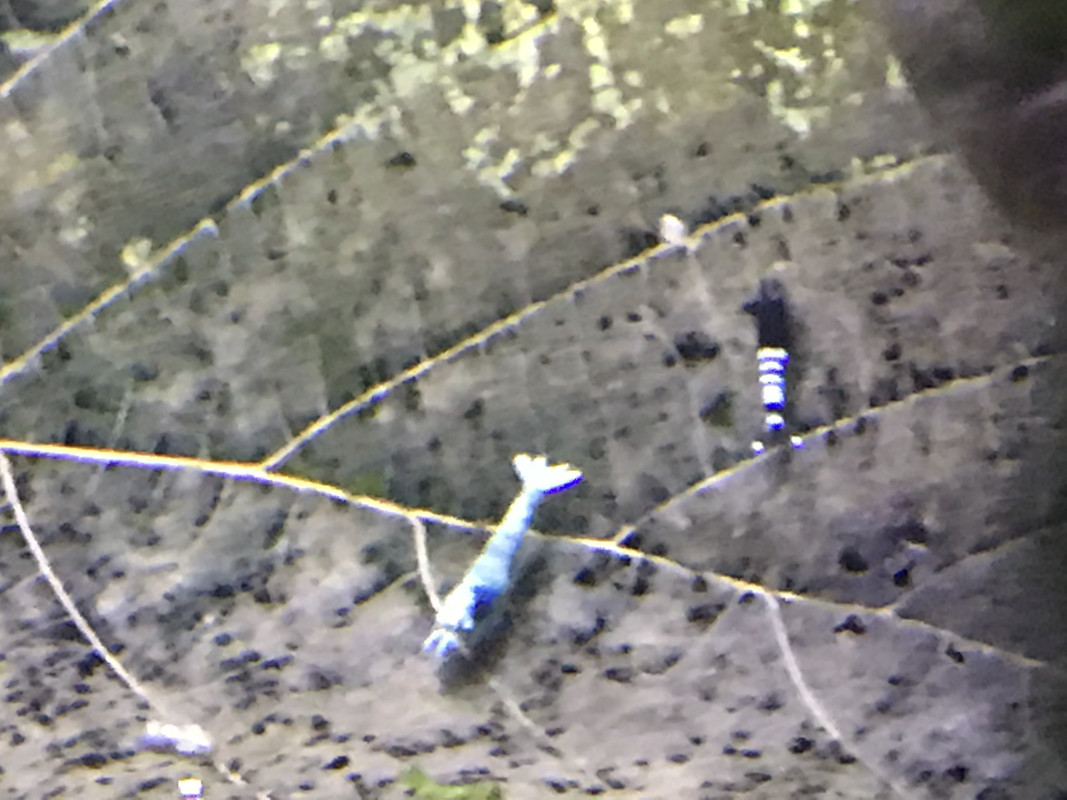 6BC1E58C-EE64-4702-ACE8-E2803FA96E88