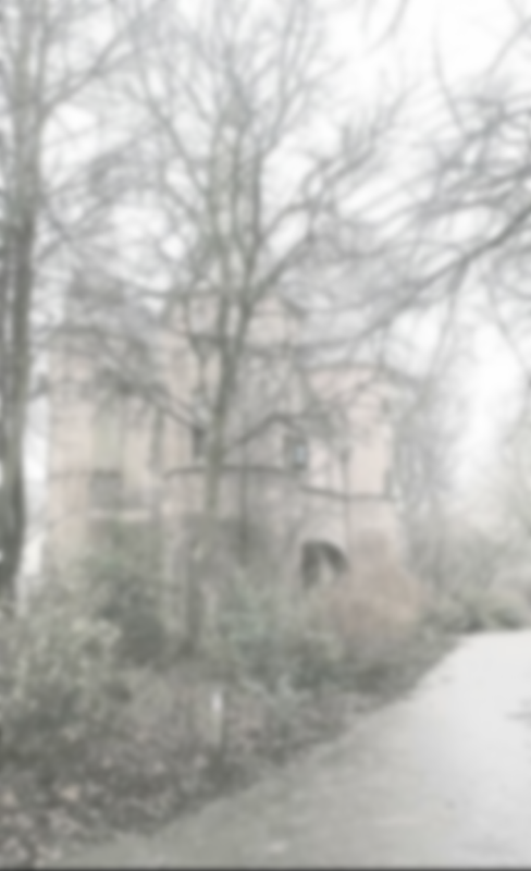 Tumblr l 1239126388992255