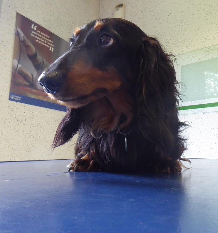 [Image: P1050061.jpg]