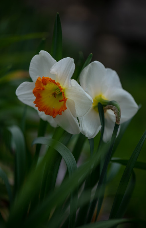 IMG-9416198e665d3361f51863790f66c73f-V