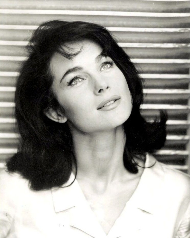 shirley_ann_field_a71