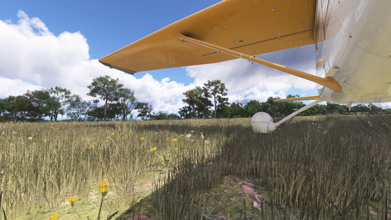 NZFF • MSFS 2024 Day 2